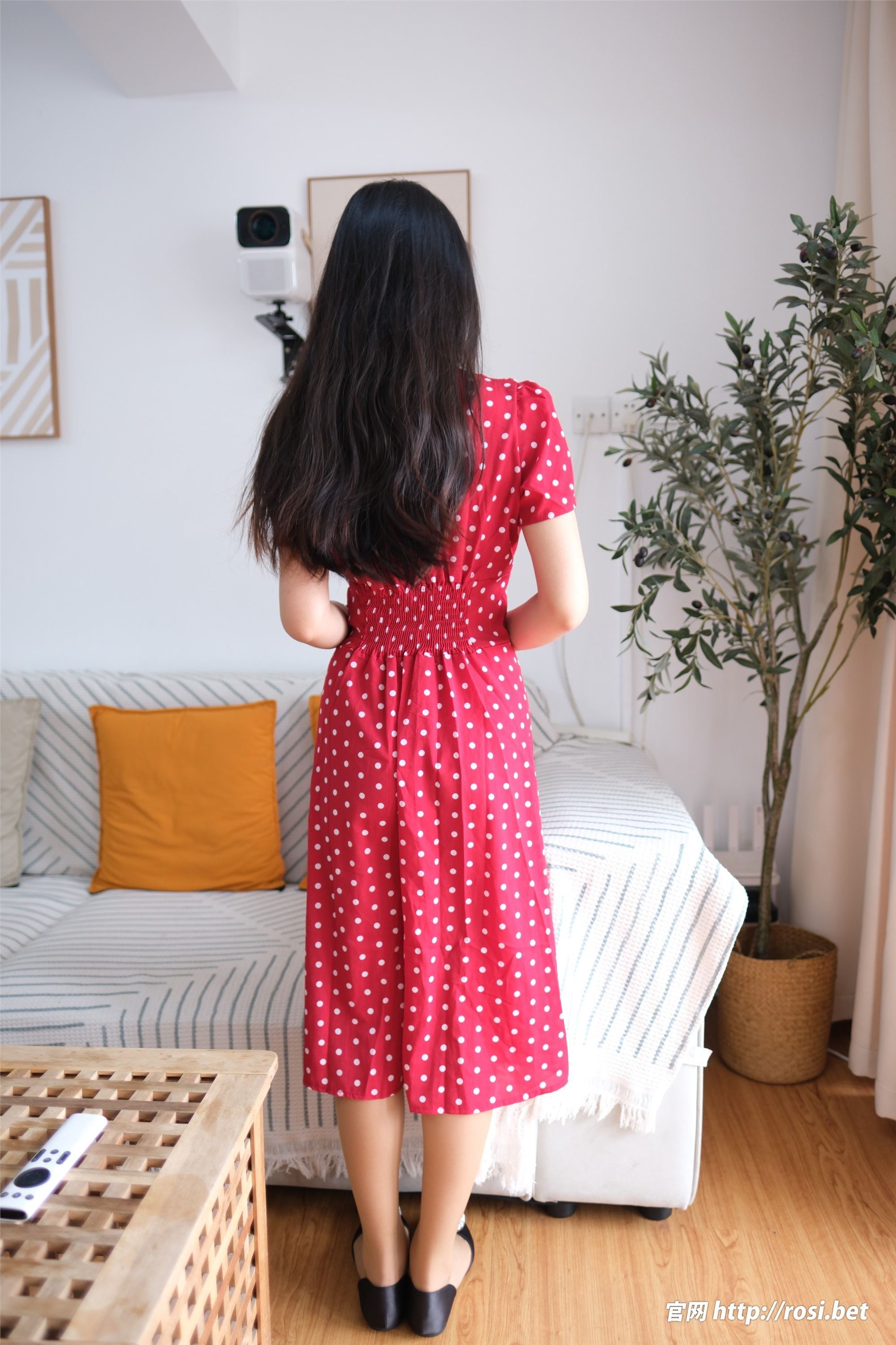 ROSI写真 2024.09.11 NO.4664